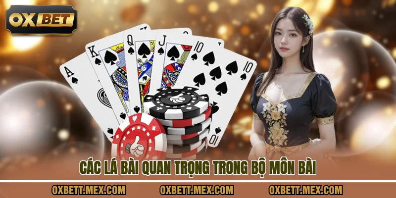 Các lá bài quan trọng trong bộ môn bài