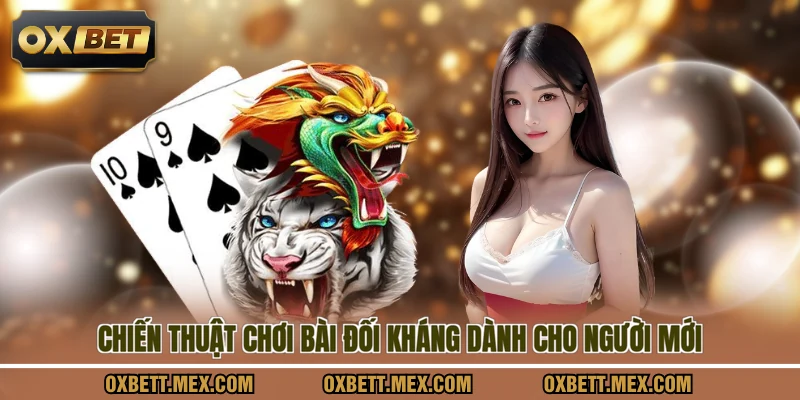 Chiến thuật chơi bài đối kháng dành cho người mới