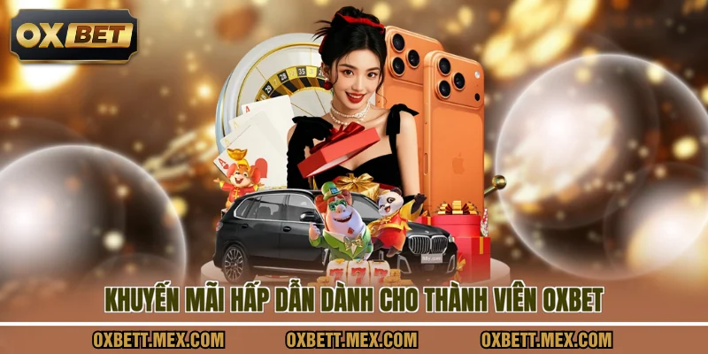 Khuyến mãi hấp dẫn dành cho thành viên OXBET