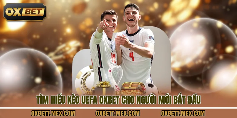 Tìm hiểu kèo UEFA OXBET cho người mới bắt đầu